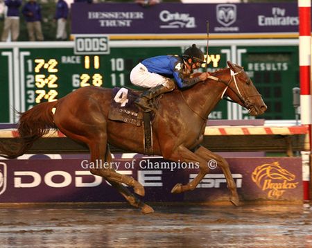 2007 Breeders Cup Winner Curlin - Finish