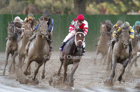 2007 Breeders Cup Winner Curlin - Turn