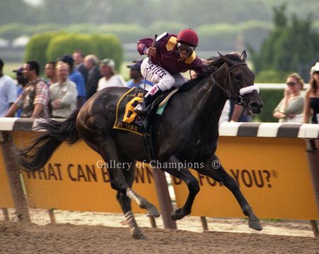 2008 Belmont Stakes Winning Race Horse Da' Tara