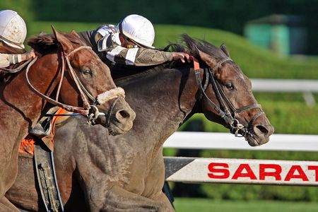2010 Travers Stakes - Afleet Express Defeats Fly Down By A Nose