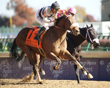 2011 Breeders Cup Winning Race Horse Amazombie Photo