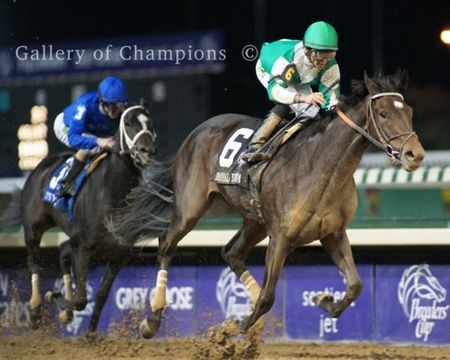 2011 Breeders Cup Winning Race Horse Royal Delta Photo #1