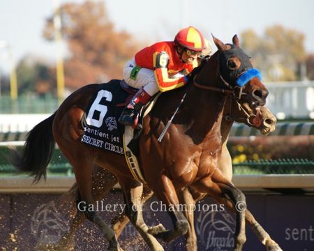 2011 Breeders Cup Winning Race Horse Secret Circle Photo