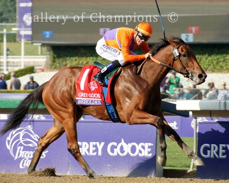 2012 Breeders Cup Winning Racehorse Beholder - Framed/Unframed Photos