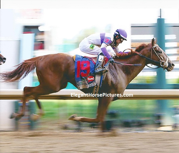2012 Kentucky Derby Winner I'll Have Another Flying