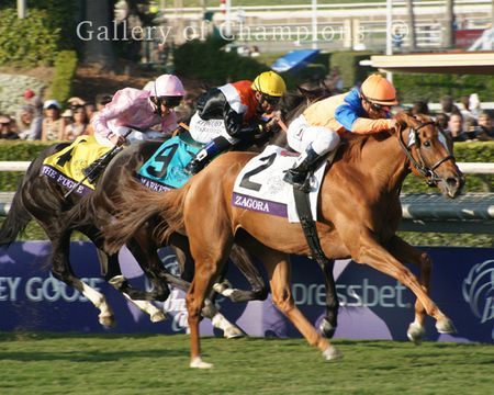 2012 Winning Racehorse Zagora - Framed/Unframed Photos