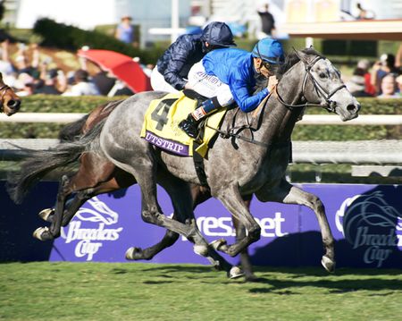 2013 Breeders Cup Racehorse Outstrip - Small & Large Photos
