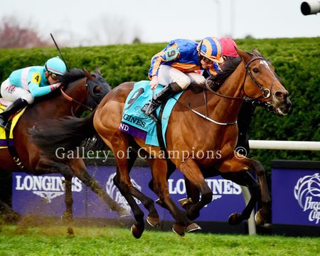 2015 Breeders Cup Turf Winner - Found - Framed & Unframed Photos