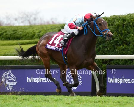 2015 Breeders Cup Winner - Mongolian Saturday - Framed & Unframed Photos