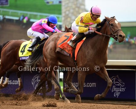 2015 Breeders Cup Winner - Wavell Avenue - Framed & Unframed Photos