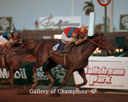 A.P. Indy Photo - 1992 Breeders Cup Classic Winner