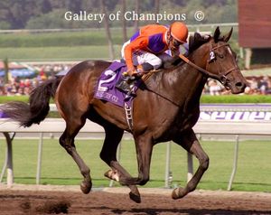 Action This Day Photo - 2003 Breeder's Cup Juvenile Winner