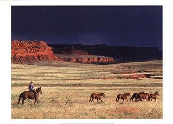 Adam Jahiel - Homeward Bound - Horse Print