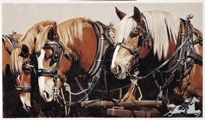 Adeline Halvorson - A Long History - Signed & Numbered Horse Print