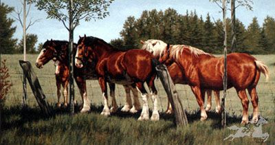 Adeline Halvorson - Good Neighbors - Signed & Numbered Horse Print UNAVAILABLE
