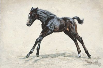Adeline Halvorson - Leaps and Bounds - Signed & Numbered Horse Print