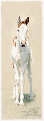 Adeline Halvorson - Legs - Signed & Numbered Horse Print UNAVAILABLE