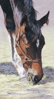 Adeline Halvorson - Little Angel - Signed & Numbered Horse Print