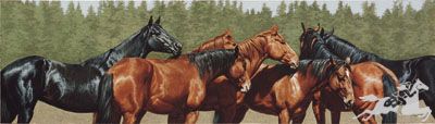 Adeline Halvorson - Summertime - Signed & Numbered Horse Print UNAVAILABLE