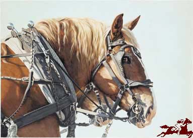 Adeline Halvorson - The Look - Signed & Numbered Horse Print