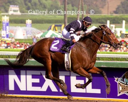 Adoration Photo - 2003 Breeder's Cup Distaff Winner