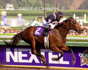Adoration Photo - 2003 Breeder's Cup Distaff Winner