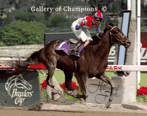 Ajina Photo - 1997 Breeder's Cup Distaff Winner
