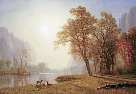 Albert Bierstadt - Yosemite Valley (Kings River Canyon) - Multiple Sizes