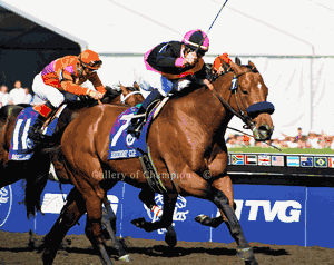Albertus Maximus Art Print - 2008 Breeder's Cup Winner