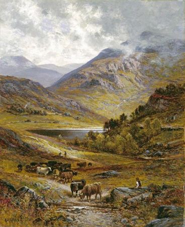Alfred Augustus Glendening - Longhorn Cattle - Mutiple Sizes Available