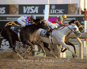 Alphabet Soup Photo - 1996 Breeder's Cup Classic Winner - Finish