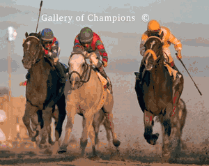 Alphabet Soup Photo - 1996 Breeder's Cup Classic Winner - Head On