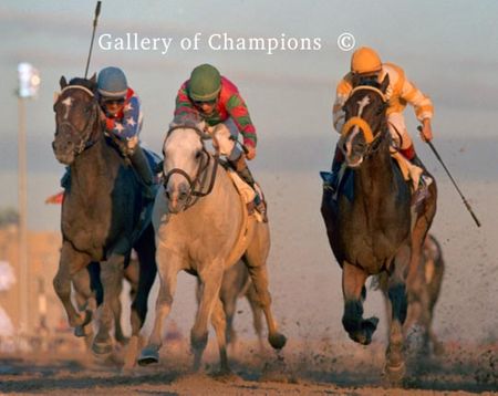 Alphabet Soup Photo - 1996 Breeder's Cup Classic Winner - Head On