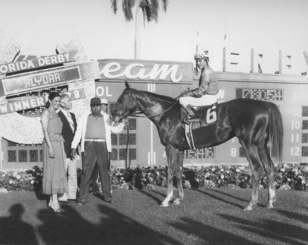 Alydar in the 1978 Florida Derby - Horse Racing Print