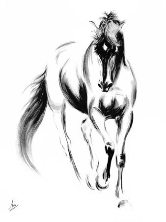 Amy Goodman - Majestic I - Giclee Shipped Free