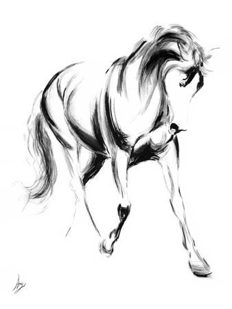 Amy Goodman - Majestic II - Horse Sketch Giclee