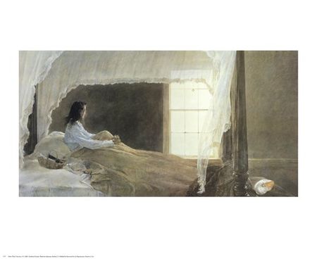 Andrew Wyeth - Chambered Nautilus - Paper Prints