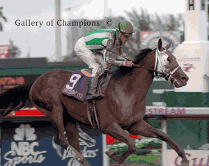 Anees Photo - 1999 Breeder's Cup Juvenile Colts Winner