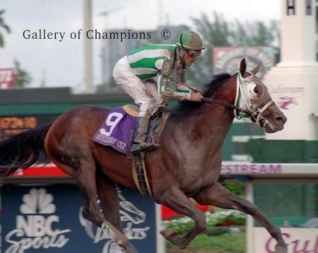 Anees Photo - 1999 Breeder's Cup Juvenile Colts Winner