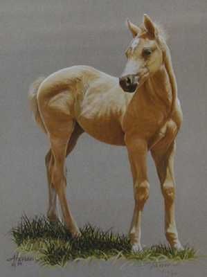 Ann Hanson - Blondie Horse Print UNAVAILABLE