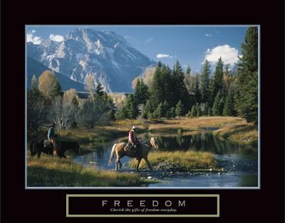 Anonymous - Freedom UNAVAILABLE