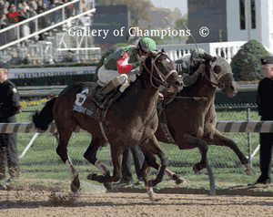 Answer Lively Photo - 1998 Breeder's Cup Juvenile Colts Winner