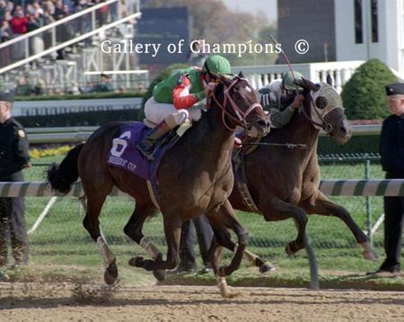 Answer Lively Photo - 1998 Breeder's Cup Juvenile Colts Winner