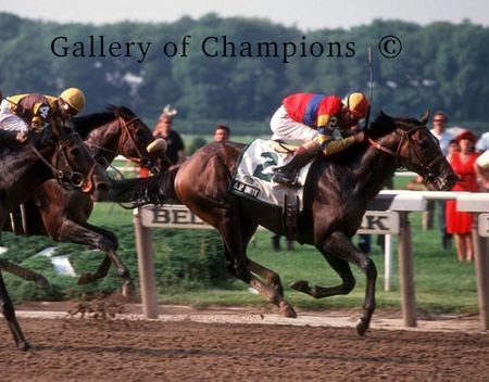 AP Indy Winning 1992 Belmont Stakes Art Print