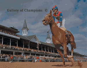 Arazi Photo - 1991 Breeder's Cup Juvenile Colts Winner
