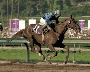 Arcangues Photo - 1993 Breeder's Cup Classic Winner