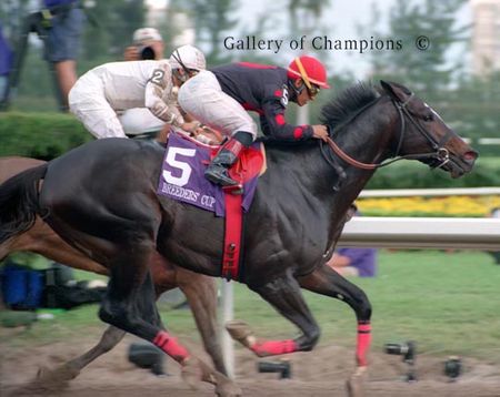 Artax Photo - 1999 Breeder's Cup Sprint Champion