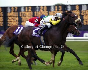 Artie Schiller Photo - 2005 Breeder's Cup Mile Winner
