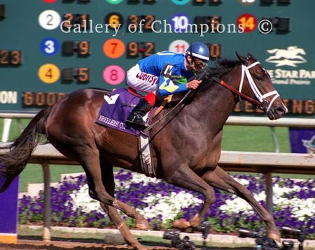 Ashado Photo - 2004 Breeders Cup Distaff Winner