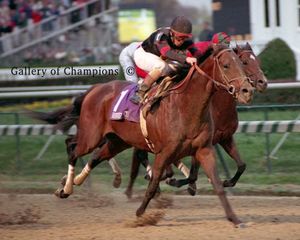 Awesome Again Photo - 1998 Breeder's Cup Classic Winner